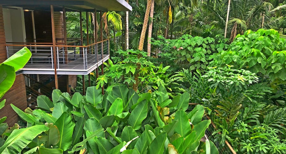 Tilar Siro Andamans - CGH Earth, Havelock Island 5